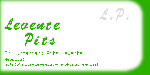 levente pits business card